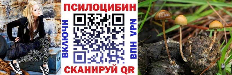 Псилоцибиновые грибы Cubensis  сколько стоит  Чебаркуль 