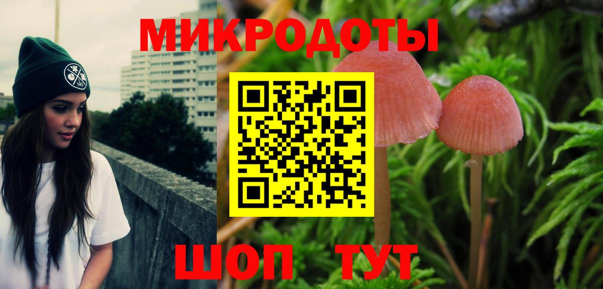 Псилоцибиновые грибы Cubensis Чебаркуль